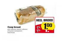 coop brood