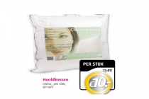 hoofdkussen