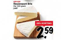 reuzenpunt brie