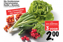 sla komkommer cherrytomaten radijs bosuien