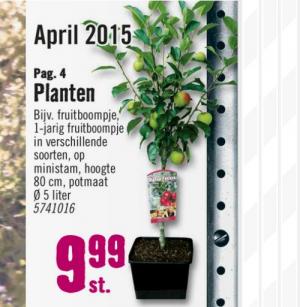 planten