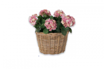 wandhanger lenthe