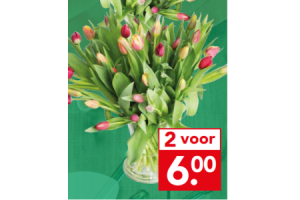 tulpen