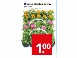 diverse planten in tray