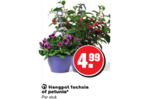 hangpot fuchsia of petunia