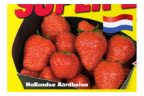 hollandse aardbeien