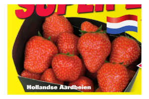 hollandse aardbeien