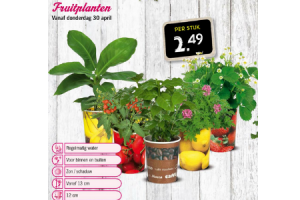 fuitplanten