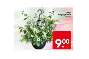 grote hanging basket