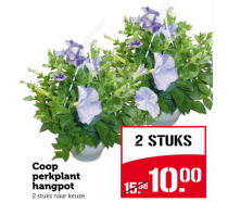 coop perkplant hangpot