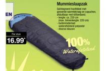 mummieslaapzak