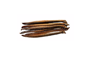 pondje paling
