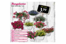 hangplanten