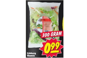 ijsberg slamix