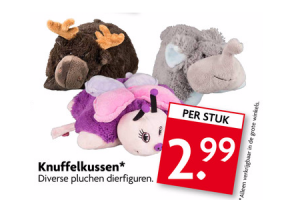 knuffelkussen