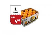 perssinaasappelen doos a 7 kilo
