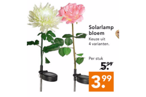 solarlamp bloem