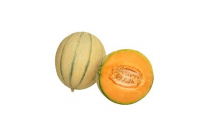 coop cantaloupe meloen