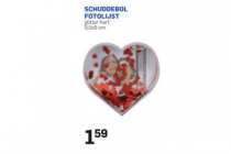 schuddebol fotolijst