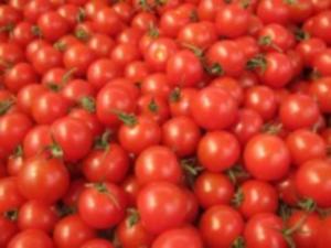 alle soorten tomaten
