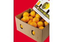 perssinaasappels ca. 65 kilo