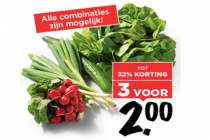 komkommer radijs sla of bosui