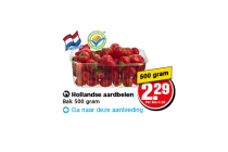 hollandse aardbeien