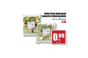 daily fresh ijsbergsla naturel of ijsbergsalade