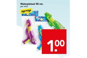 waterpistool 30cm