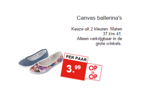 canvas ballerinas