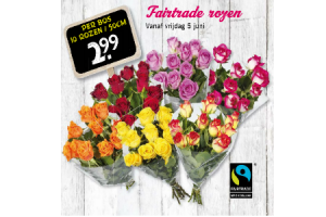 fairtrade rozen