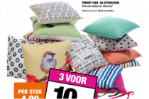 trendy sier  en zitkussens