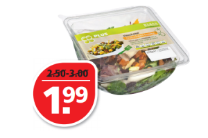 plus slaschotels