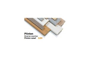 plinten