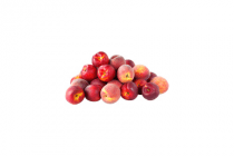 c1000 nectarines