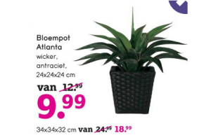 bloempot atlanta