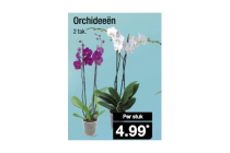 orchidee 2 takker