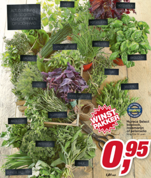 horeca select bieslook rozemarijn of peterselie.