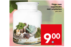 hoge vaas opgemaakt met vetplanten