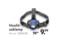 hoofdzaklamp
