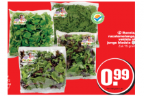 rucola rucolamelange veldsla of jonge bladsla