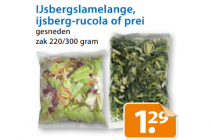 ijsbergslamelange ijsberg rucola of prei