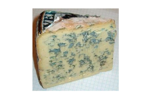 bleu dauvergne