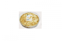 pannenkoeken