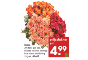 rozen