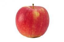 plus hollandse elstar appels