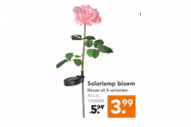 solarlamp bloem