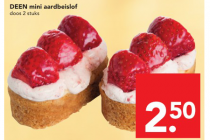 deen mini aardbeislof