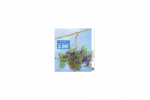 hangplanten