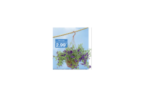 hangplanten